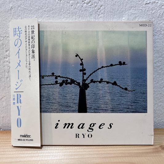 Ryo Kawasaki – Images