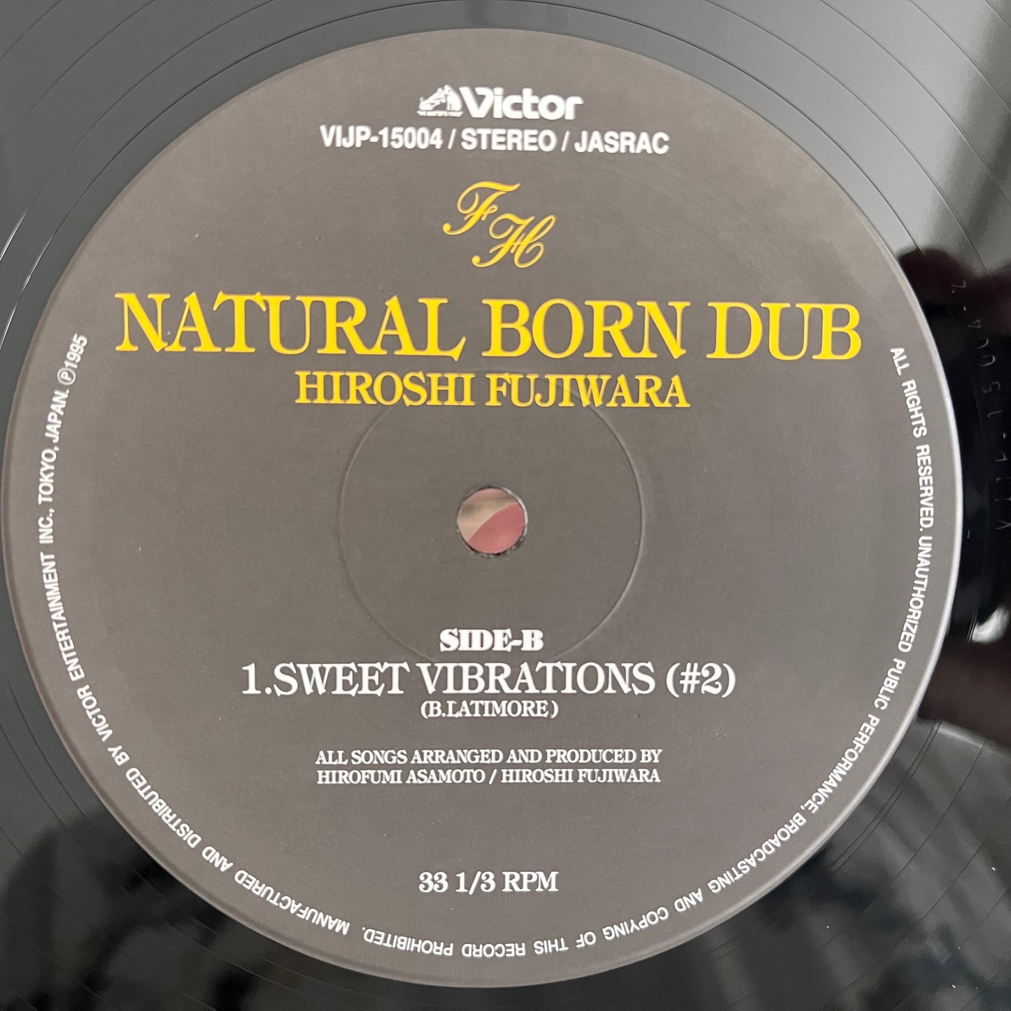 Hiroshi Fujiwara – Natural Born Dub