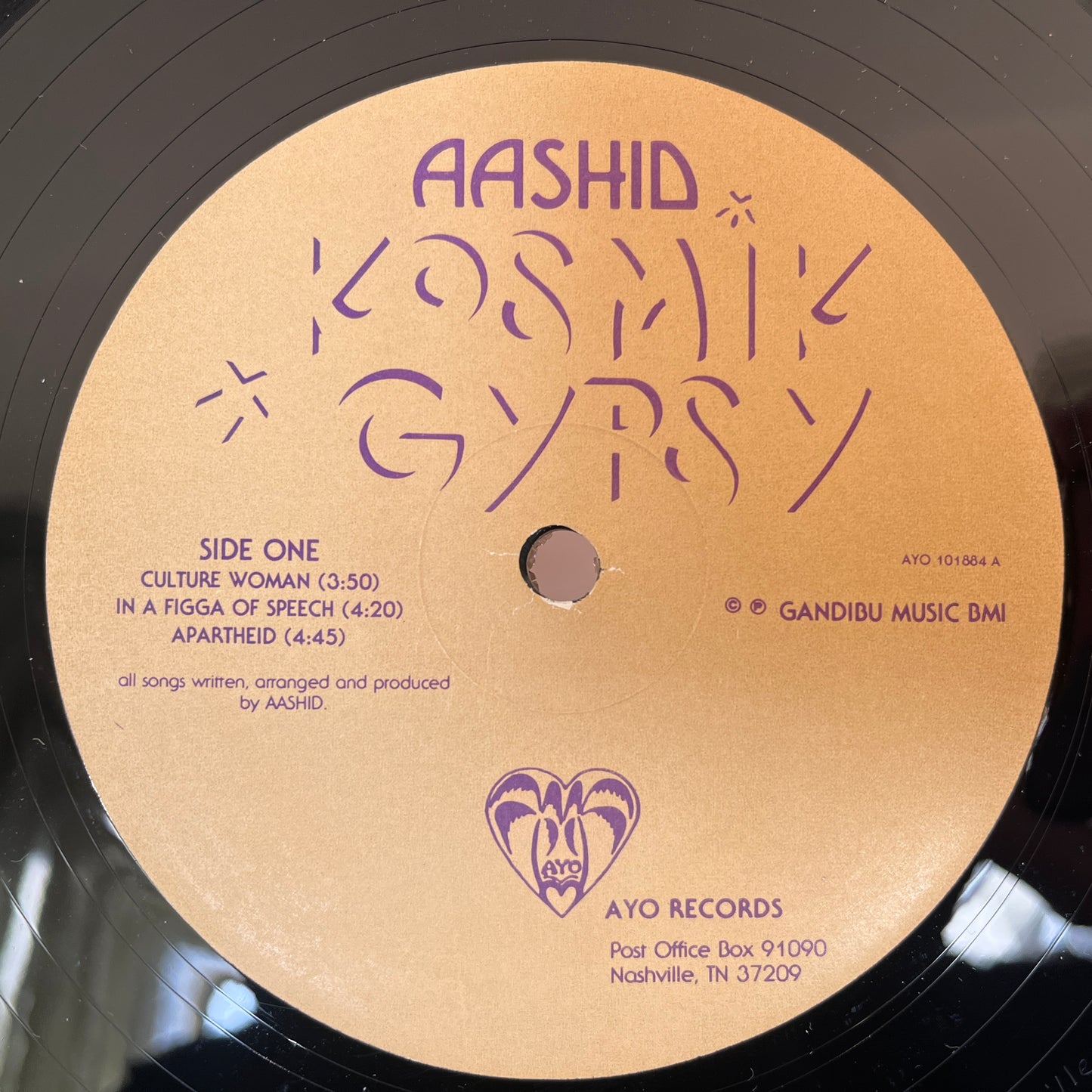 Aashid – Kosmik Gypsy