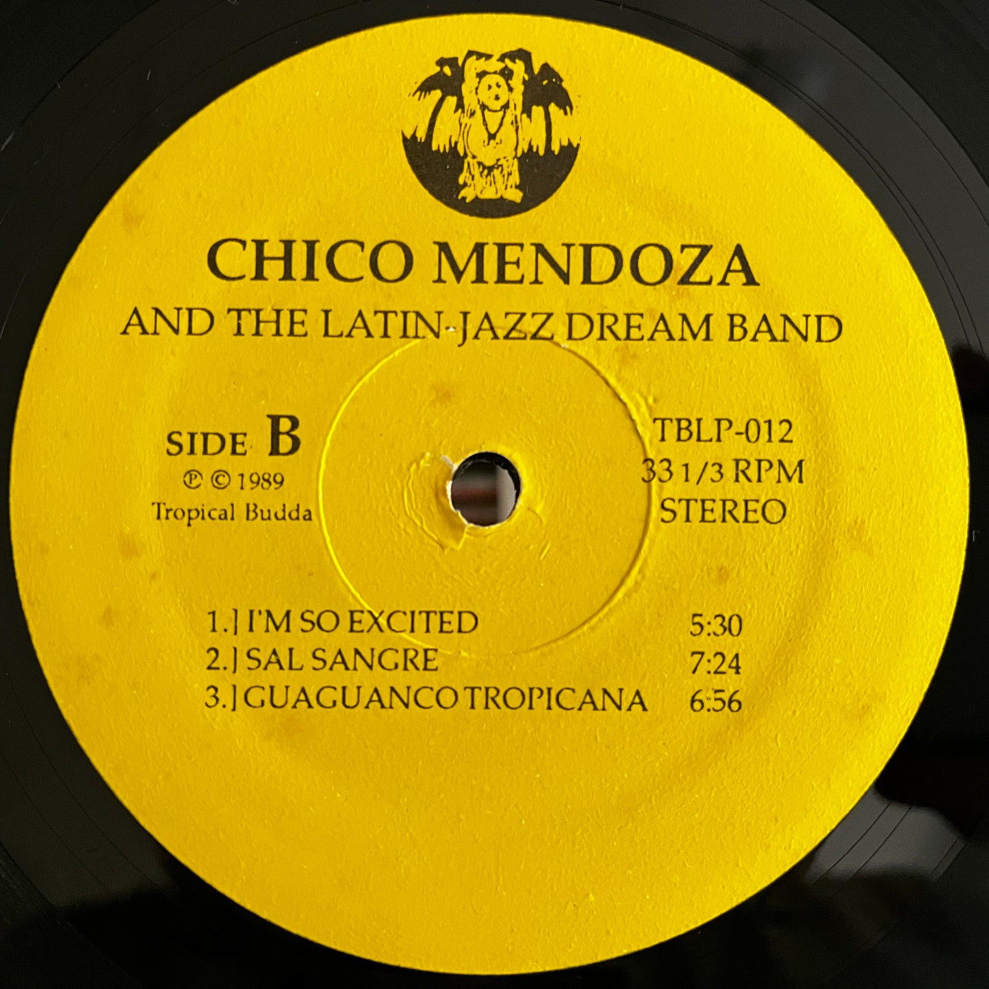 Chico Mendoza And The Latin-Jazz Dream Band ‎– Chico Mendoza And The Latin-Jazz Dream Band