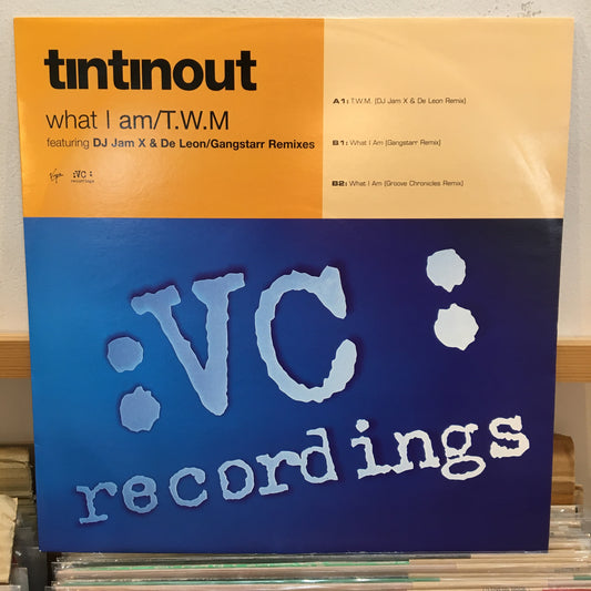 Tin Tin Out – What I Am / T.W.M.