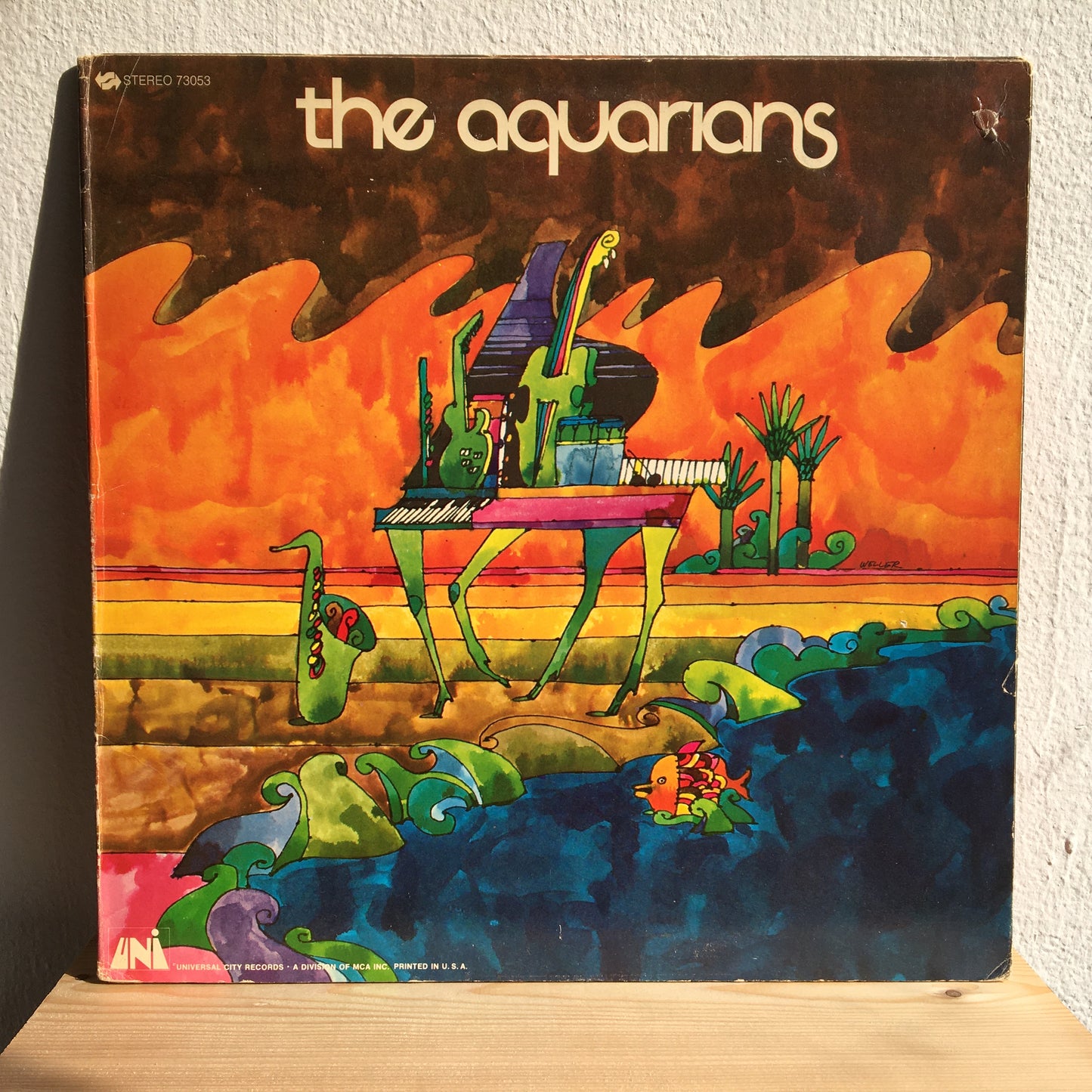 The Aquarians – Jungle Grass