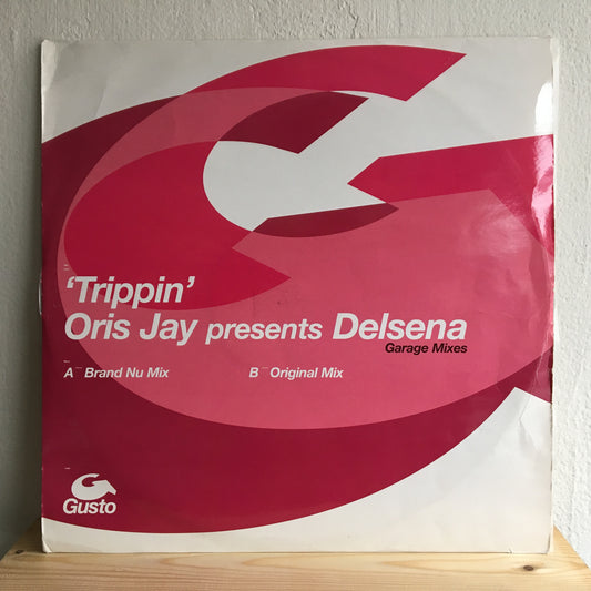 Oris Jay Presents Delsena – Trippin（车库混音）