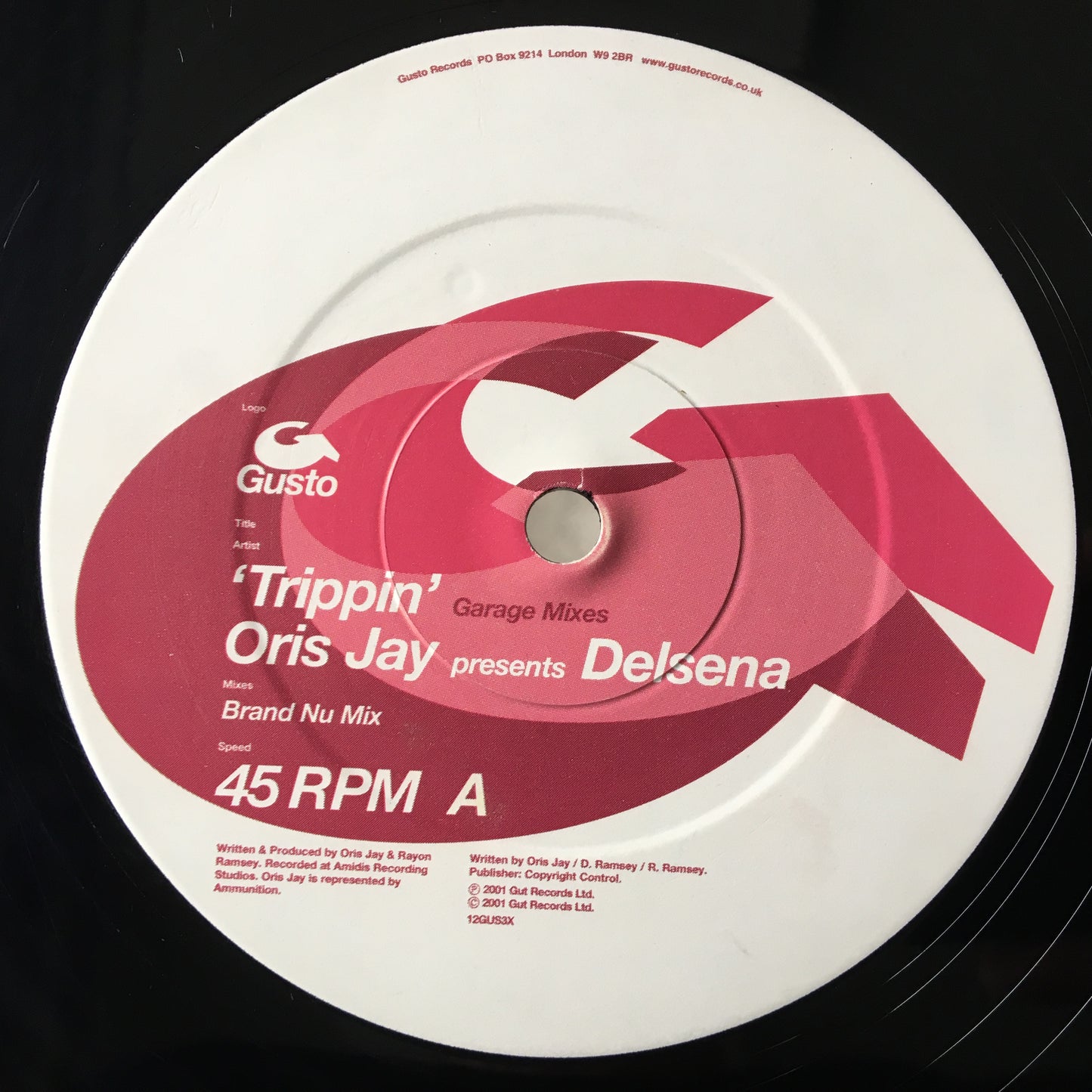 Oris Jay Presents Delsena – Trippin（车库混音）